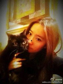 娱乐圈爆料猫不理,猫不理背后的惊人真相！